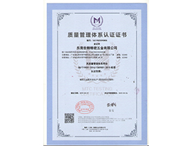 IS09001:2015 quality management system certification